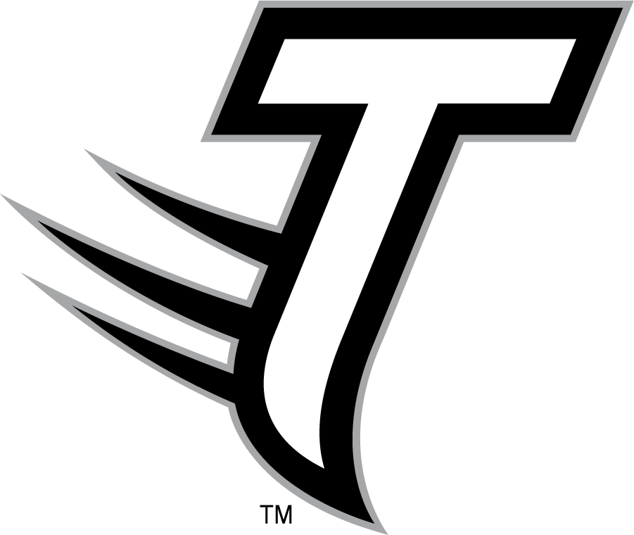 Towson Tigers 2002-2011 Secondary Logo iron on transfers for T-shirts